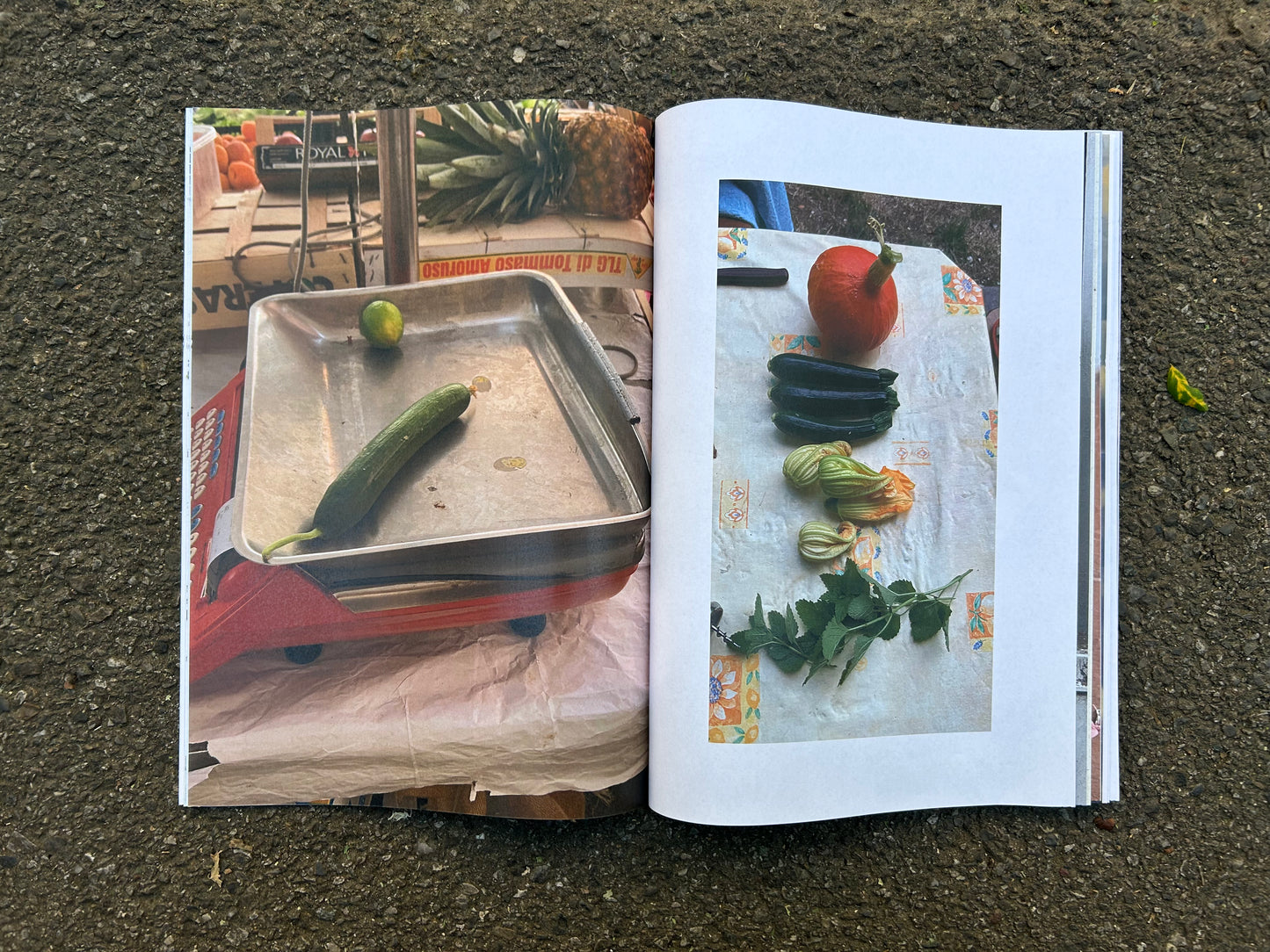 2025 GARBAGE CORE - FANZINE